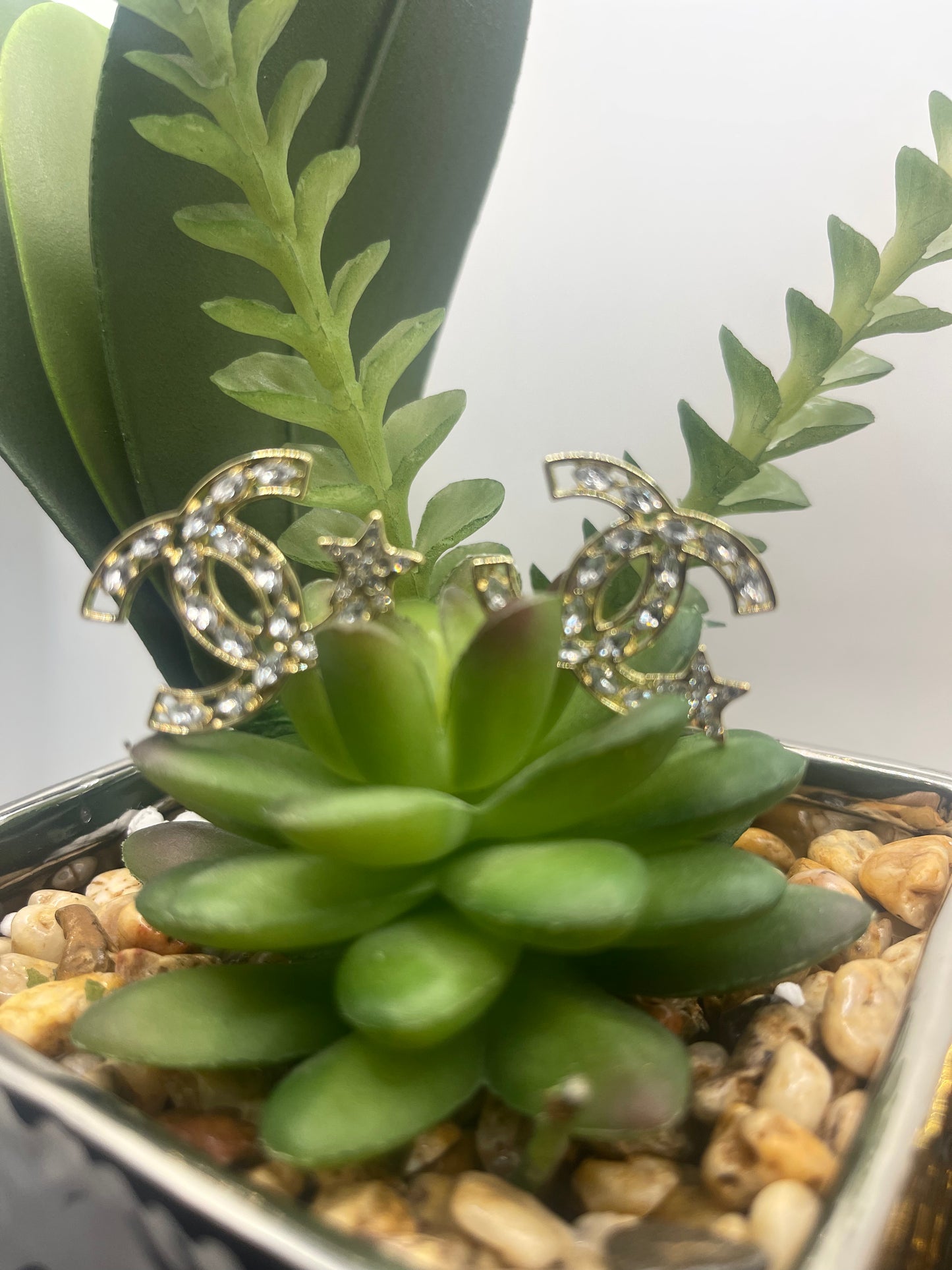 Double C & Star Large Stud Earrings