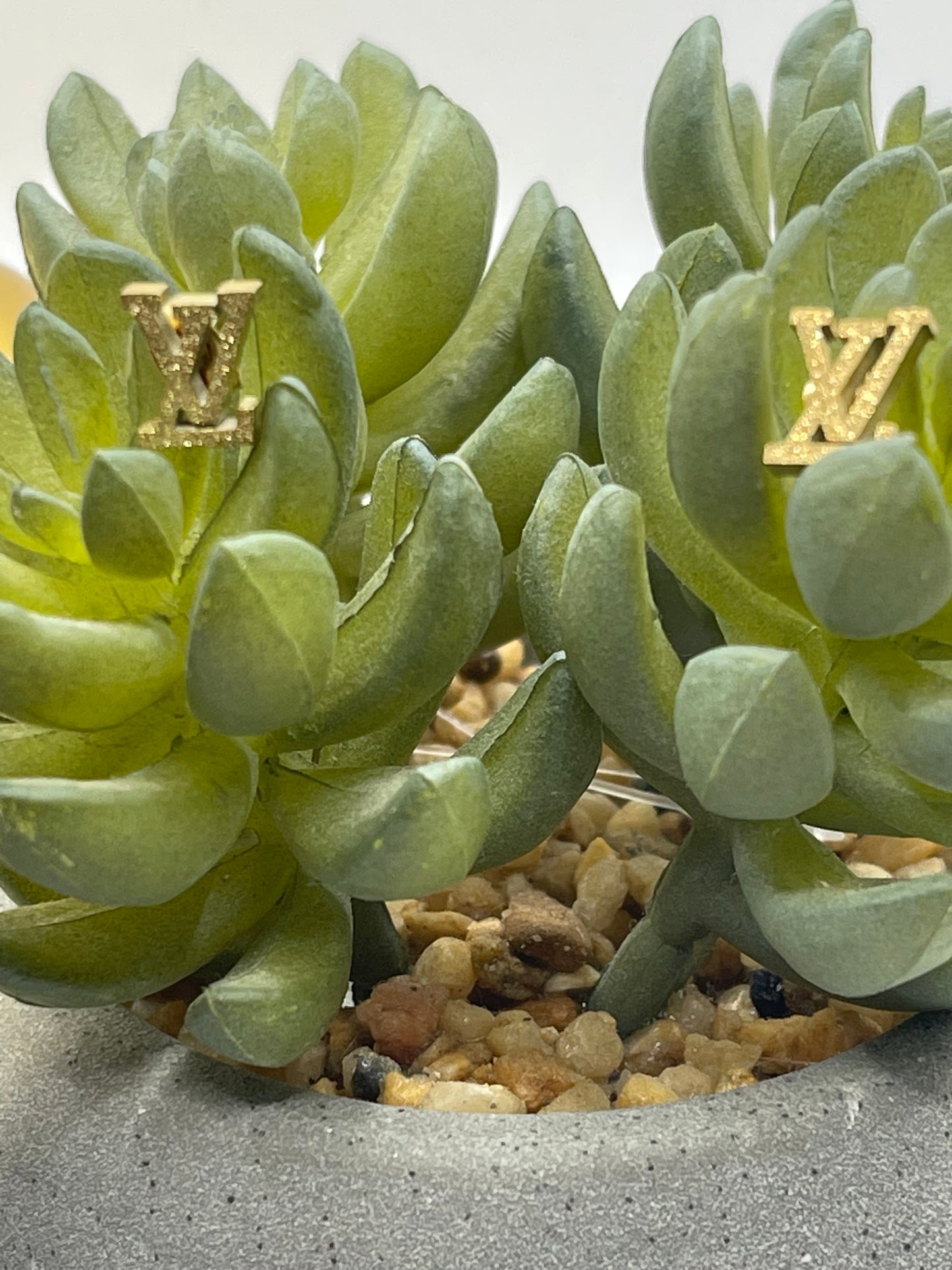 Mini Initial L & V Earrings